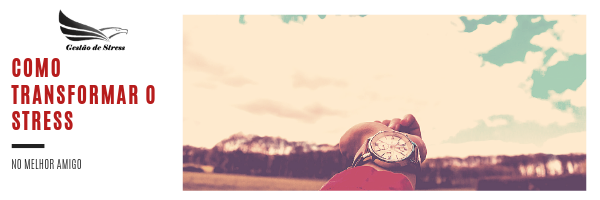 COMO TRANSFORMAR O STRESS NO MELHOR AMIGO